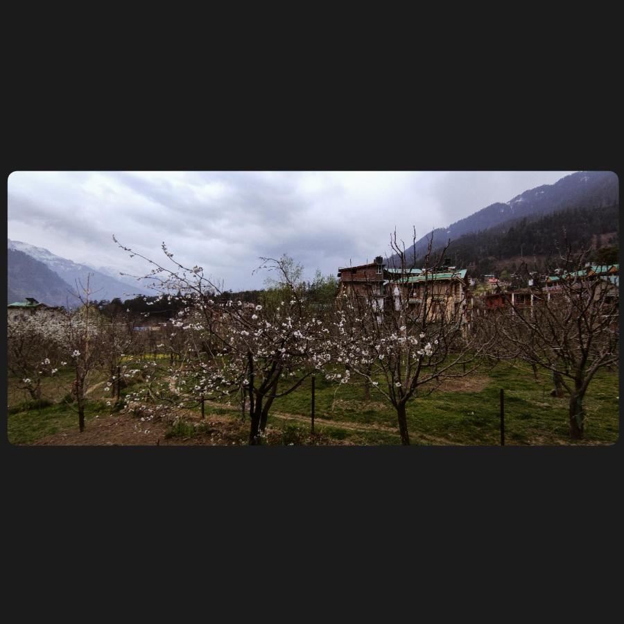 Yolo Backpackers - Manali Hostel Exterior photo